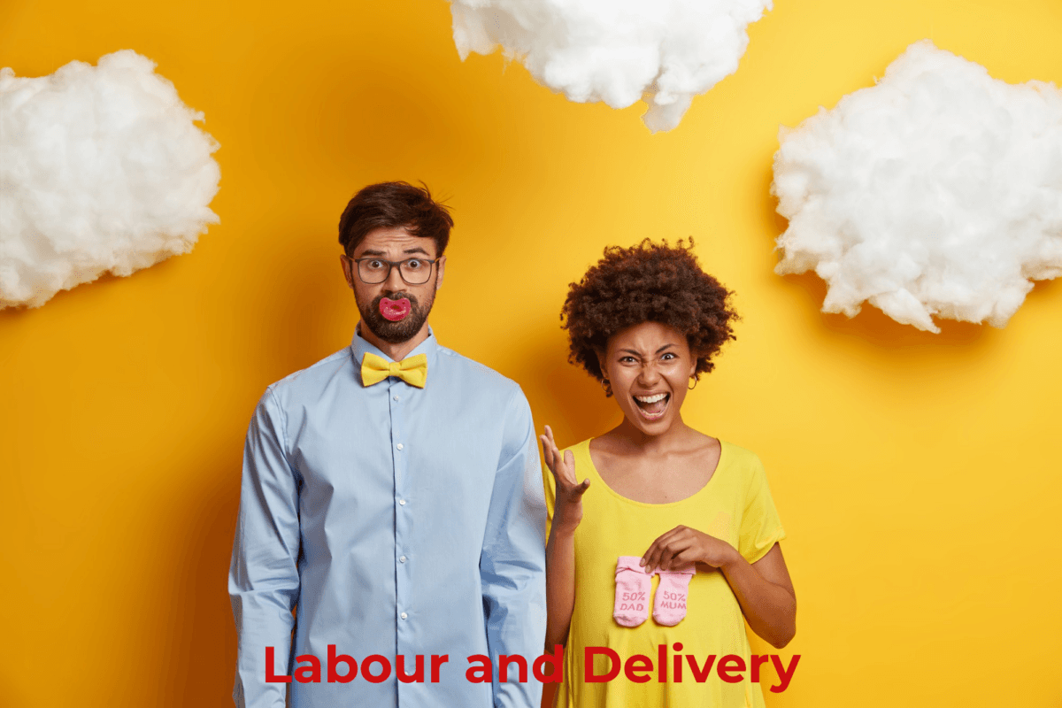 Bringing New Life into the World: A Journey through Labour and Delivery