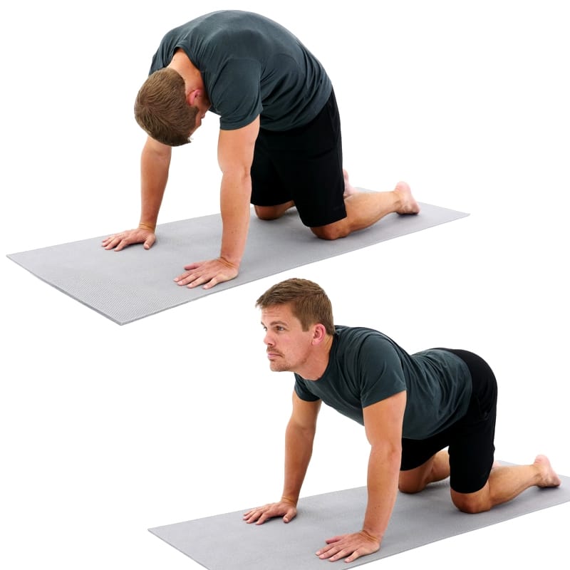 Stretches for Lower Back Pain