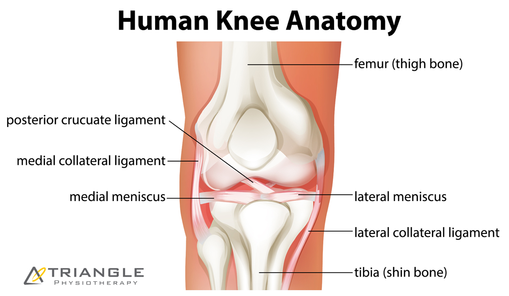 Physiotherapy for knee pain