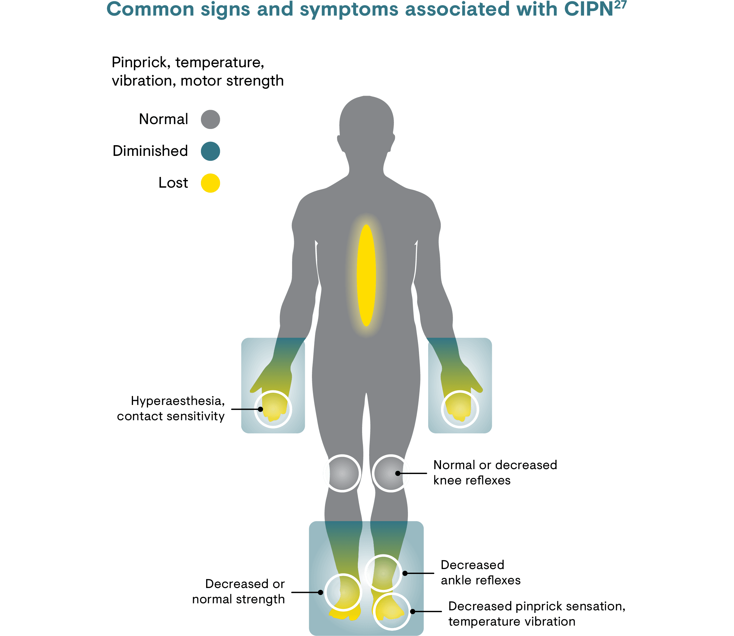 Cancer Rehab